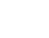 The First Nazari